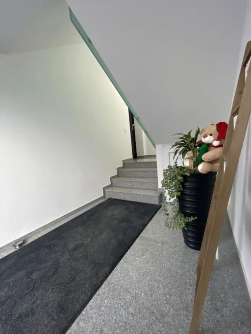 Apartament Timisoara 6 Bagian luar foto